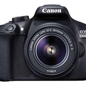 Nikon D3300 and Simple Coupon with Review